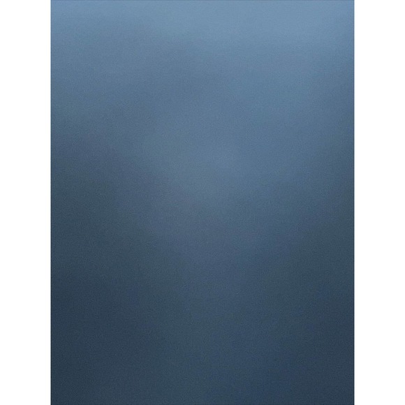 NWT Hot Topic Midnight Hour Corgi Swim Trunks Size 36 - Picture 4 of 6